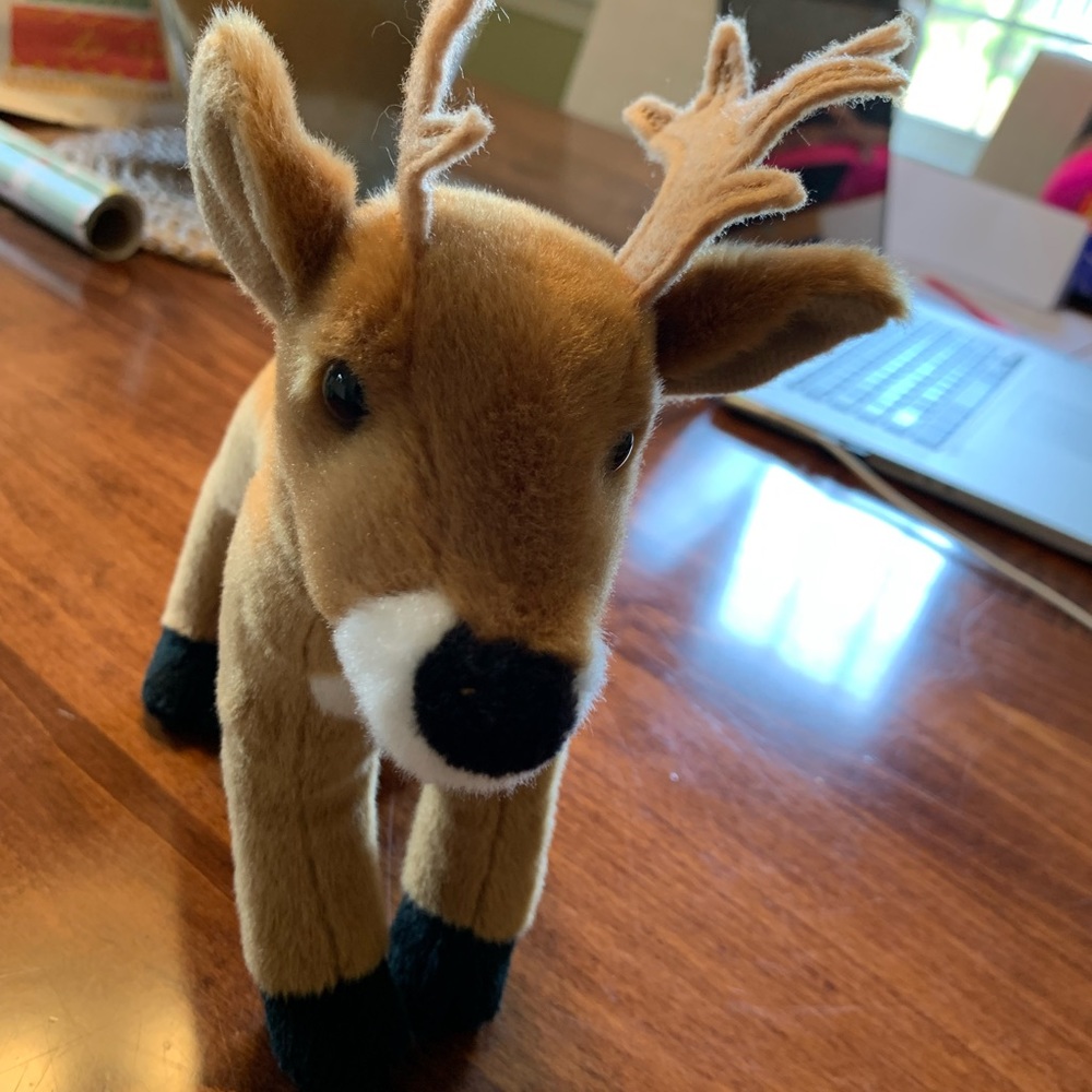 Douglas Reindeer